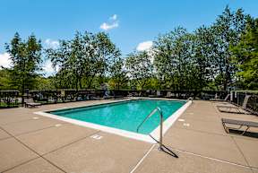 A swimming pool surrounded by trees and a fence.