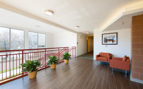 a living room with couches and potted plants on a balcony