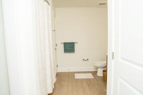 A bathroom with a toilet, a shower curtain, and a rug.