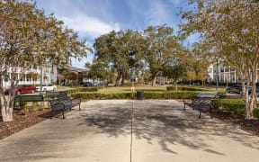 a park with benches and trees in front of a building