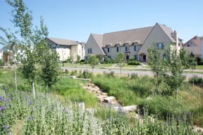 a garden with a house in the background