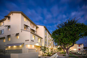 A modern apartment building with a tree in front of it.