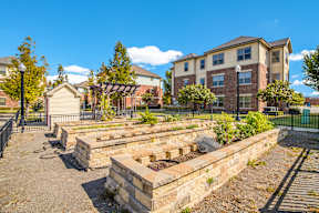 A community garden with raised beds and apartment buildings in the background.