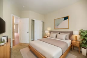 a bedroom with a bed and a tv in a hotel room