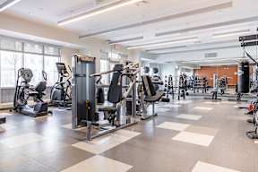A gym with a variety of equipment including treadmills, weights, and exercise machines.