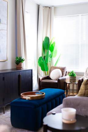 A living room with a blue ottoman, a brown chair, and a large green plant.