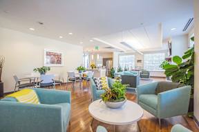 A white table with a plant on it sits in the middle of a room with blue chairs.