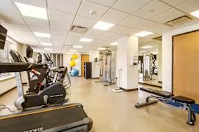 A gym with a treadmill, weights, and exercise equipment.