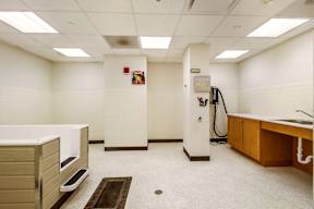 A clean, well-lit room with a sink, a trash can, and a vacuum cleaner.