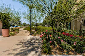 Apartment walkway with landscaping-Parque Vista, Los Angeles, CA