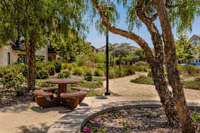 Apartment walkway, landscaping, and picnic tables-Parque Vista, Los Angeles, CA