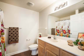 a bathroom with a sink and a toilet and a mirror