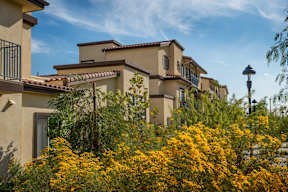Apartment buildings exterior with landscaping in front-Parque Vista, Los Angeles, CA