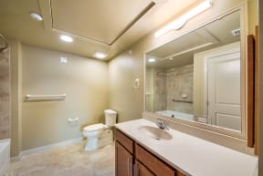 a bathroom with a sink and a toilet and a mirror