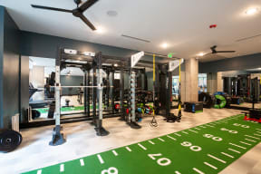 a gym with weights machines and a green rug on the floor