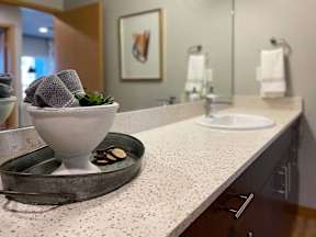 a bathroom with a sink and a counter with a plant at Pottery Creek Apartments, Washington