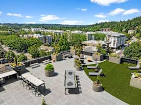 Bird eye at Hue, Redmond, 98052