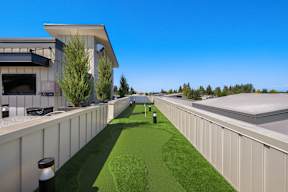 A long, narrow, grassy area between two white walls.