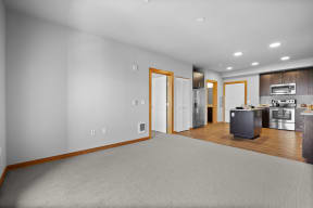 a living room with a kitchen and a rug