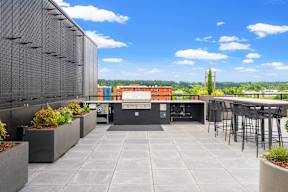 Rooftop at Hue, Washington