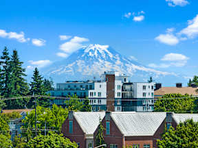 A mountain is in the background of a cityscape.