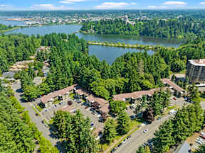 an aerial view of a neighborhood with a lake in the background