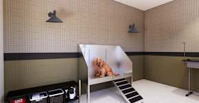A dog is sitting on a bench in a room with tiled walls.
