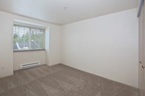 an empty living room with a window and a carpet