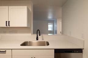 A kitchen with a sink and a dishwasher.