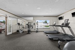 Gym with treadmills and weightlifting machines