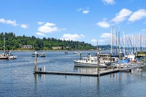 a group of boats docked at a marina on the water