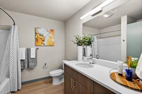 a bathroom with a sink and a toilet and a mirror