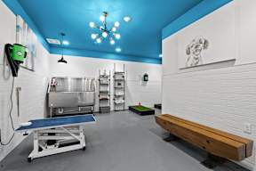 a kitchen with stainless steel appliances and a blue ceiling and a bench
