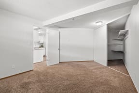 an empty room with a closet and a carpeted floor