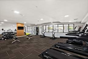 A gym with treadmills and exercise equipment.