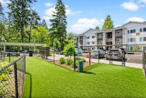 A grassy area in front of apartment buildings.