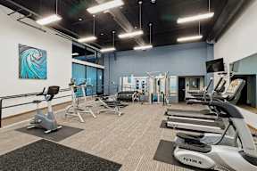 A gym with a variety of exercise equipment including treadmills, stationary bikes, and weight machines.