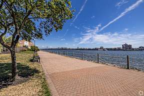 A walkway next to a body of water with a bench and a tree.