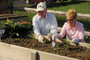 Two people planting flowers in a garden bed.