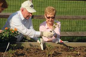 A man and a woman are gardening together.