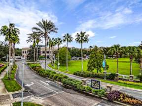 Entrance drive lined with palm trees and Tioga Town Center sign, landscaped grounds near apartments in Newberry, FL.