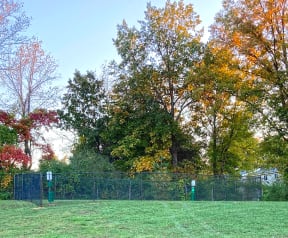Dog Park with grass