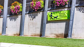 Exterior Image of pet space