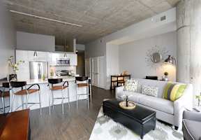 Interior Image of Apartment Furnished Living Room