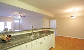 A kitchen with a sink and a window.