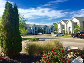 A row of houses with a tree and flowers in the foreground.