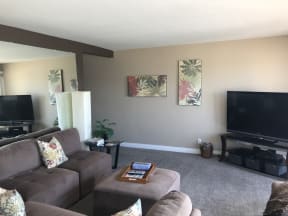 7th Place  living room