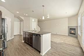 A kitchen with a dishwasher and a refrigerator.