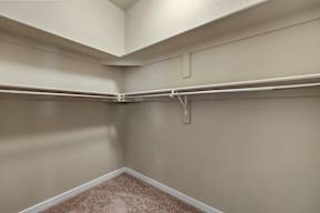 A white closet with a carpeted floor and white walls.