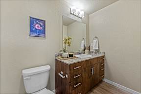 A bathroom with a white toilet, a wooden vanity with a mirror, and a framed picture on the wall.